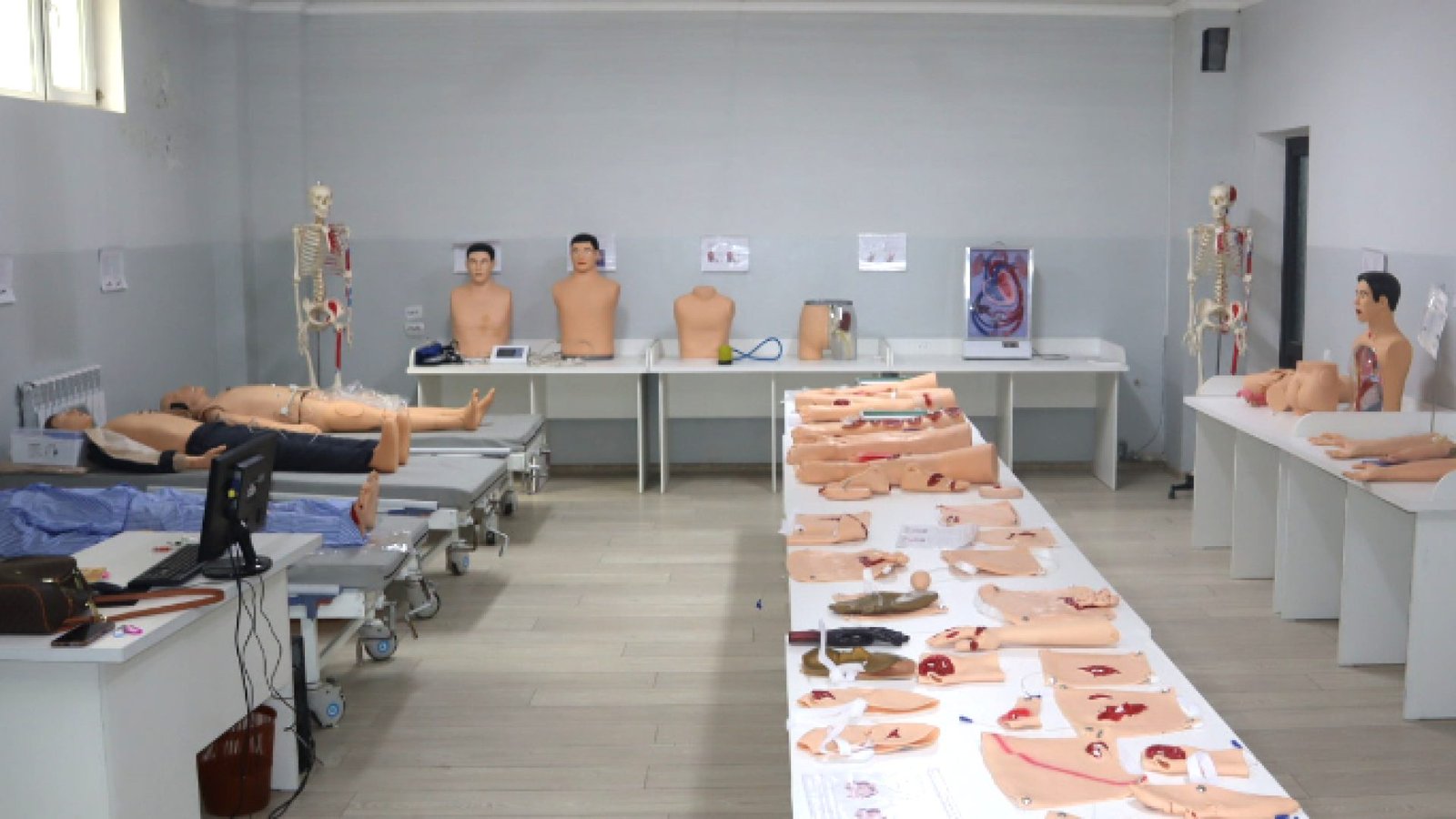 oshimu-anatomy